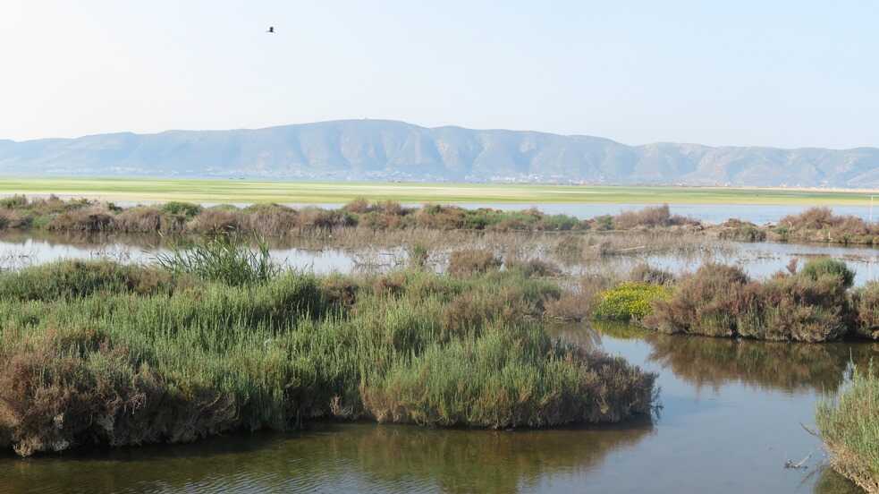 Landscape, mountains in the back, a polluted lake in the front.
