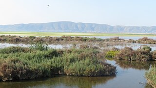 Paysage, montagnes à l'arrière, lac pollué à l'avant.
