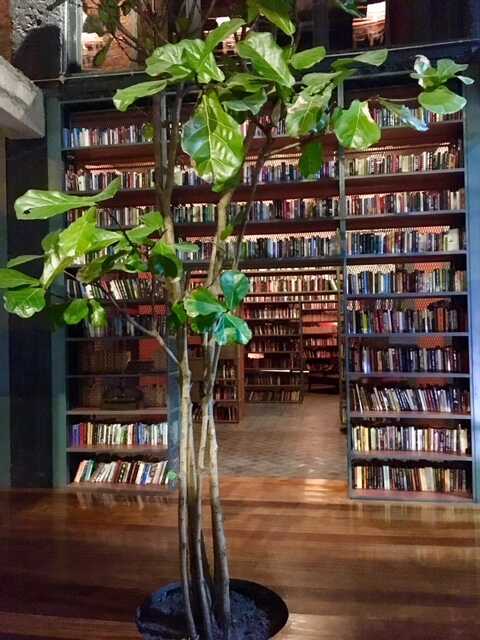 Bibliothek in Tbilisi