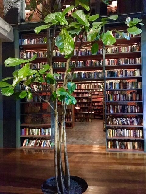 Bibliothek in Tbilisi