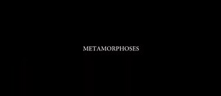 Metamorphosen Video