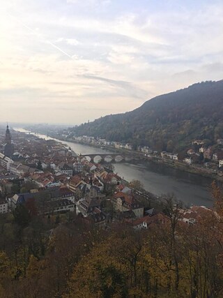 Probestudium Heidelberg