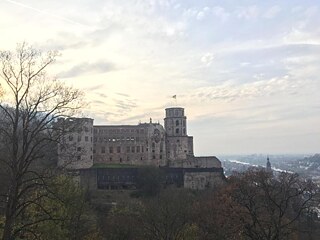 Probestudium Heidelberg