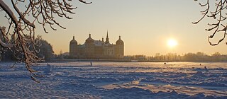 Schloss Moritzburg