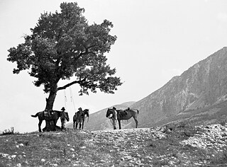 FUENF_PATRONENHUELSEN_Foto_05