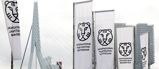Internationales Filmfestival Rotterdam (IFFR)