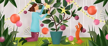 Grüne Weihnachten - der Goethe Adventskalender 2019