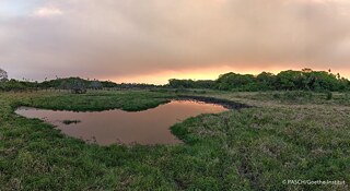 Pantanal  &copy; © Goethe-Institut Pantanal 