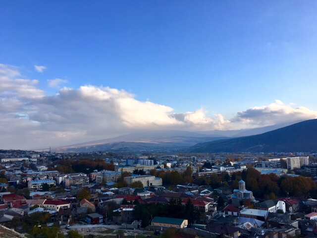 Gori
