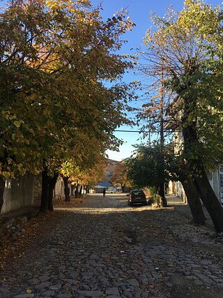 Das wunderschön herbstliche Seki