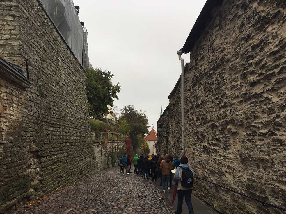 Kopfsteinpflaster in Tallinn
