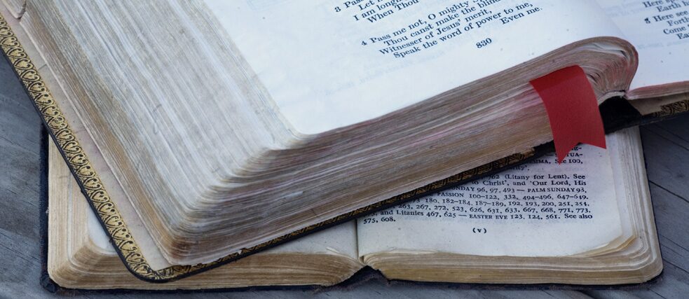 Foto: Jorge Royan (Auschnitt) | 