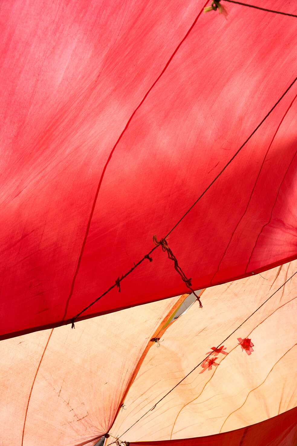 Tarpaulin_Flo Maak