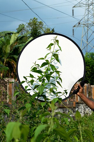 Communist Pacha_Flo Maak © © Flo Maak Communist Pacha