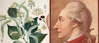 Goethes Naturphilosophie