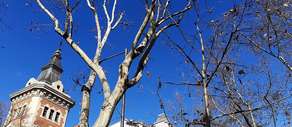 Strahlendes Blau (Madrid, Spanien)