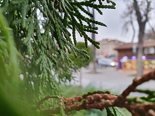 PASCH-Fotoworkshop 6 © Foto: Oleksandra Semenchenko © Goethe-Institut PASCH-Fotoworkshop 