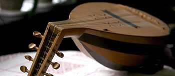 Lute