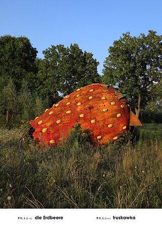 Fotografie zum Eintrag „die Erdbeere“