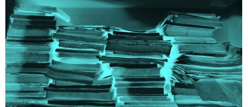 Silverfish © Atufa Rais, Tayyab Hussain & Reshma Khatoon