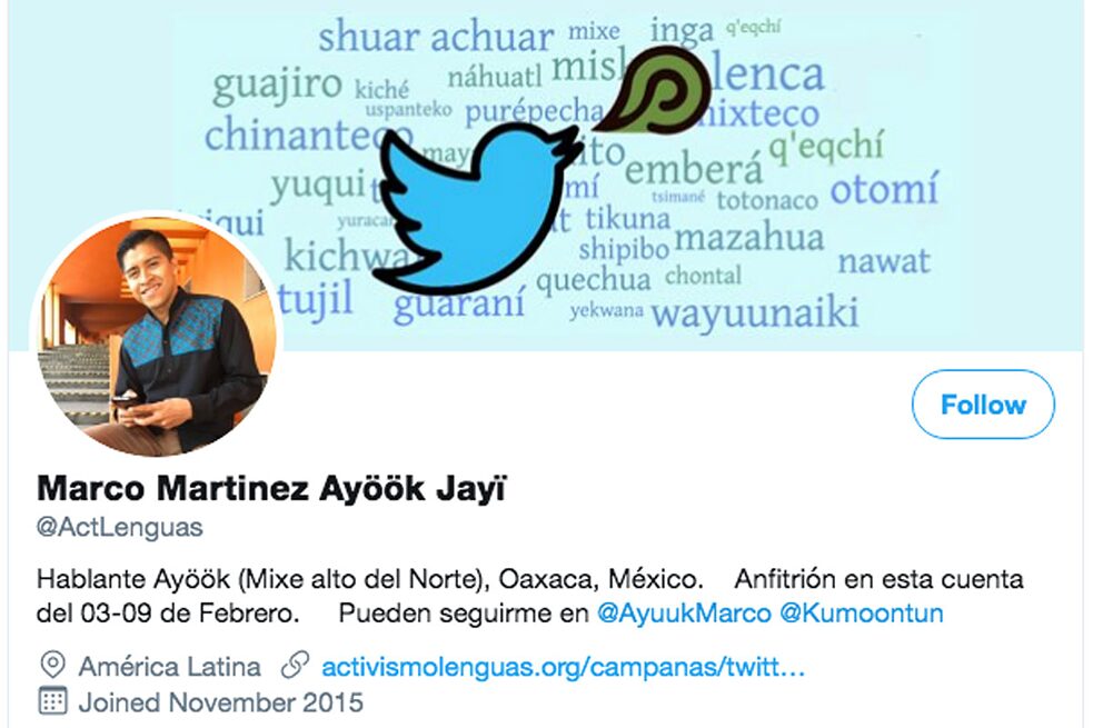 Twitter: “Activismo Digital de Lenguas Indígenas” (Ativismo Digital de Línguas Indígenas) 