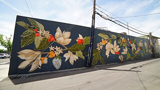 Street Art in the 18b Las Vegas Arts District.