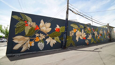 Street Art in the 18b Las Vegas Arts District.