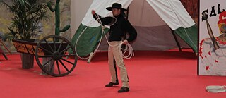 Cowboy-Show auf der Messe.