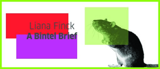 Buchklub: Liana Fincks „A Bintel Brief“