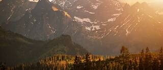 Horská krajina v bukovině