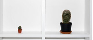 Bibliothaeksgespraeche_03  