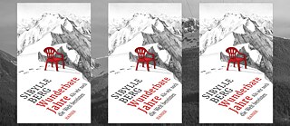 Sibylle_Berg_Wunderbare_Jahre_Hanser Verlag_Buchcover