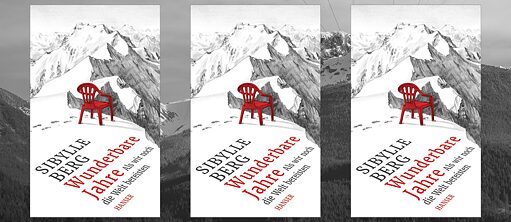 Sibylle_Berg_Wunderbare_Jahre_Hanser Verlag_Buchcover