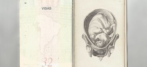 Collage eines peruanischen Passes und Illustration aus einem Medizinbuch (Baby in Gebärmutter)