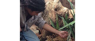 Sultana Zana © Sultana Zana