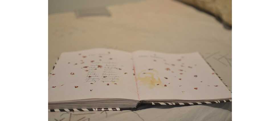 Bed Bugs Intimacy © Bazik Thlana