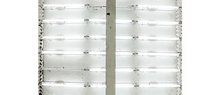 What Just Happened? Why am I Here? I Want to go Home © Divyesh Amrish Undaviya