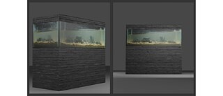 The Shephard Tone © Madhurjya Dey