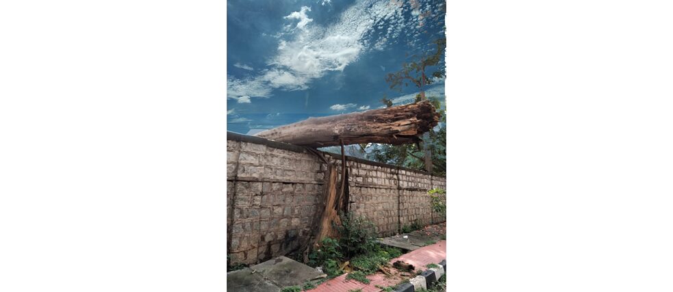 The Incident Network © Sultana Zana