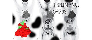 Train No. 4703 © Navkiran Natt