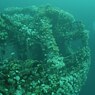 Dive to a shipwreck in the Conception Bay