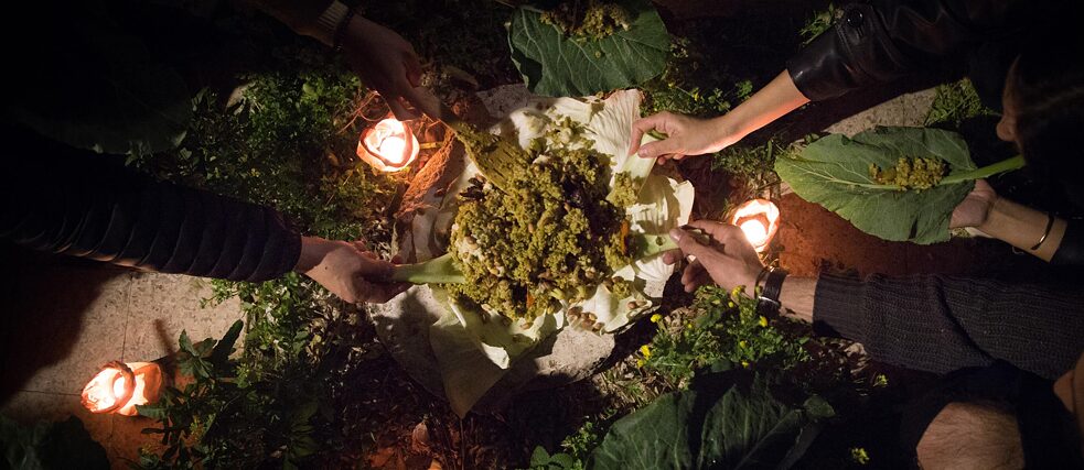 Hauptgericht: Einfache Körner auf grünen Blättern 