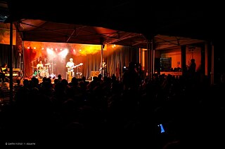 Goethe-Découverte Laurent Ngimbog_737_4