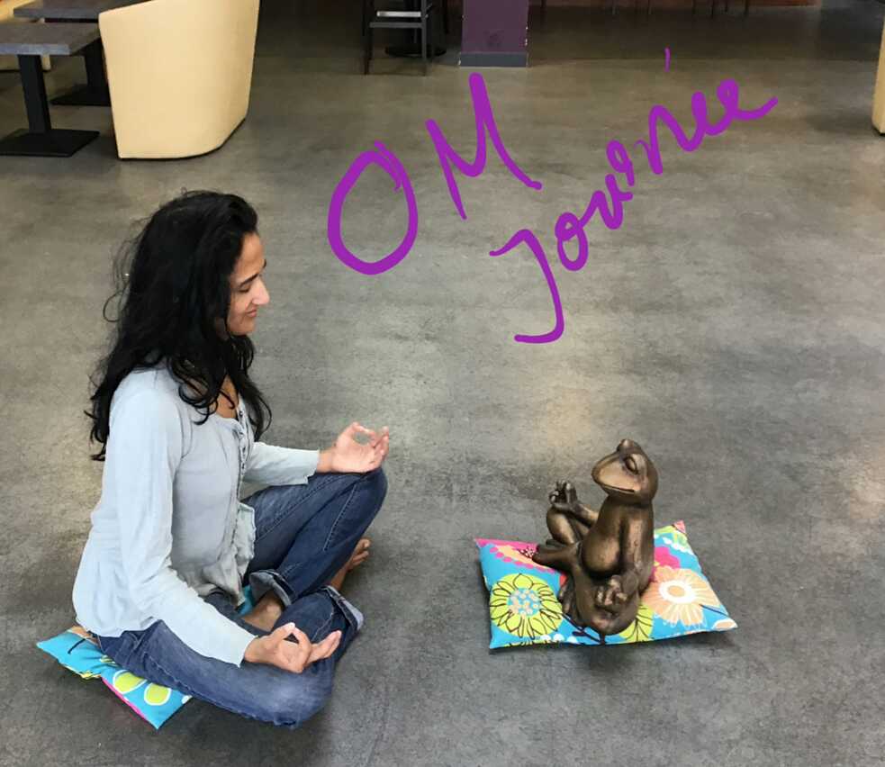 Om journée