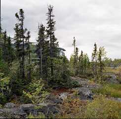 The embedding of the building in nature