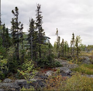 Die Einbettung des Gebäudes in die Natur