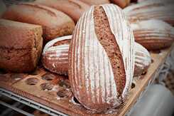 The stone oven bread of the organic Alpine Bakery