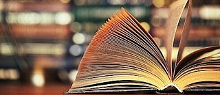 Goethe-Institut Übersetzungsförderung