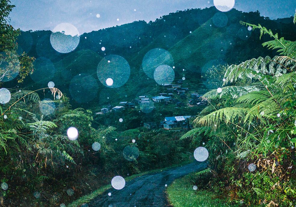 Elliott Koon | Sons Of The Soil