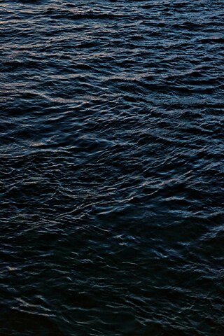 Anelise de Carli (Vozes da Quarentena) &copy; Foto: Anelise de Carli  Anelise de Carli (Vozes da Quarentena) 1